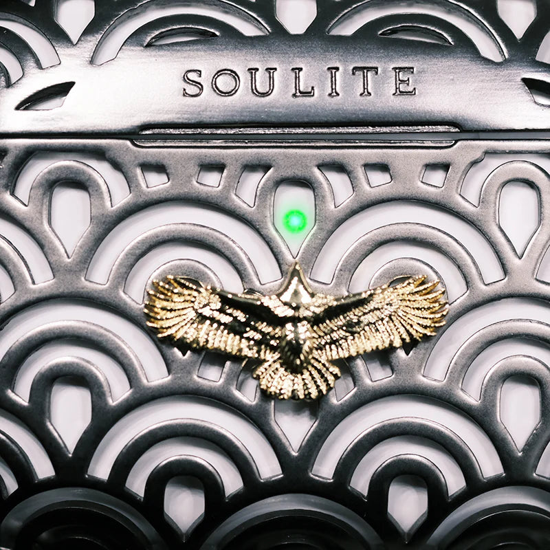 AirPods Pro 3 Case 【Eagle Vibes Black Pro】